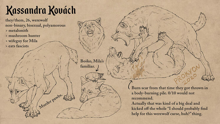 Kass character sheet (Steel the Wolf)